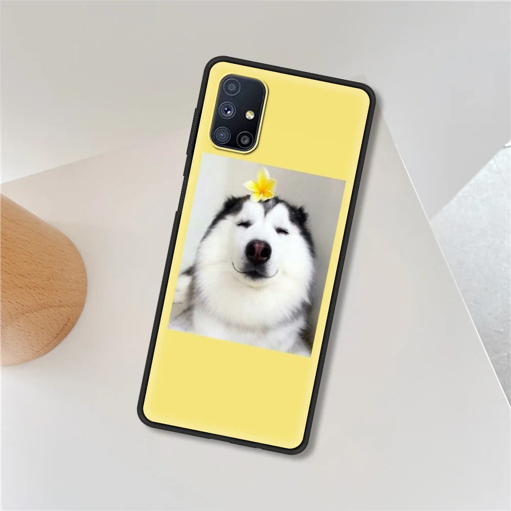 Dog Silicone Soft TPU Coque for Samsung Galaxy M01 M11 M21 M31 M31S M51 A7 A9 2018 Luxury Phone Case Cover
Dog Silicone Soft TPU Coque for Samsung Galaxy M01 M11 M21 M31 M31S M51 A7 A9 2018 Luxury Phone Case Cover