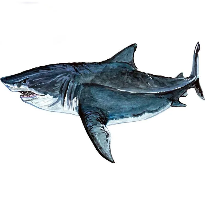 Автомобильные наклейки, Декор, мотоциклетные наклейки, Акула Megalodon, декоративные аксессуары, креативный солнцезащитный водонепроницаемый ...
Автомобильные наклейки, Декор, мотоциклетные наклейки, Акула Megalodon, декоративные аксессуары, креативный солнцезащитный водонепроницаемый ...