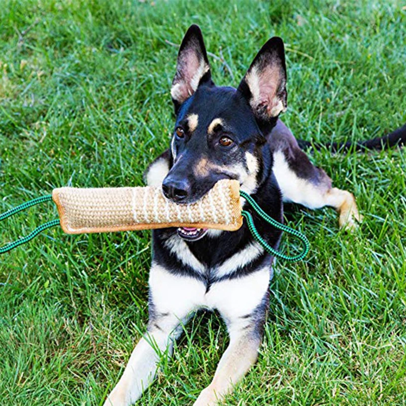 Large Dogs Durable Training Dog Coarse Hemp Bite Rod Molar Toy Dog Interactive Toy Pet Perro Grande Chew Plaything for Labrador
Large Dogs Durable Training Dog Coarse Hemp Bite Rod Molar Toy Dog Interactive Toy Pet Perro Grande Chew Plaything for Labrador