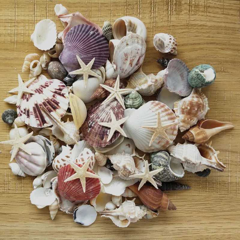 100PCS Mixed Ocean Sea shells Wedding Decor Beach Theme Party, Seashells Home Decorations, Fish Tank,Candle Making sea star
100PCS Mixed Ocean Sea shells Wedding Decor Beach Theme Party, Seashells Home Decorations, Fish Tank,Candle Making sea star