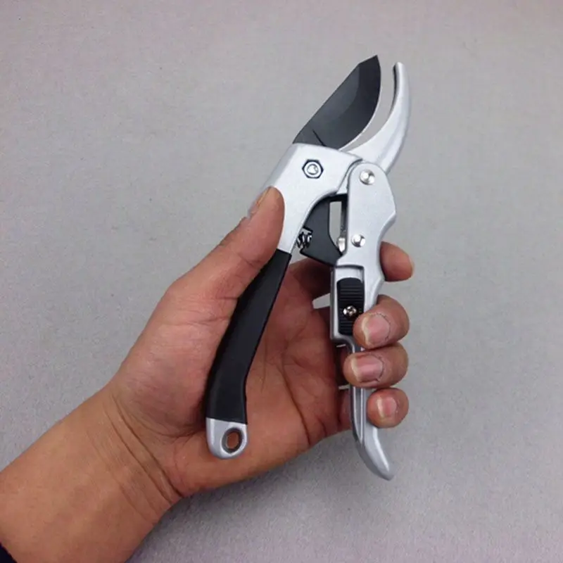 Grafting Tool Fruit Tree Pruning Shears Bonsai Pruners Garden Shears SK5 High-carbon steel blade Ergonomic design Anti-Slip Grip
Grafting Tool Fruit Tree Pruning Shears Bonsai Pruners Garden Shears SK5 High-carbon steel blade Ergonomic design Anti-Slip Grip