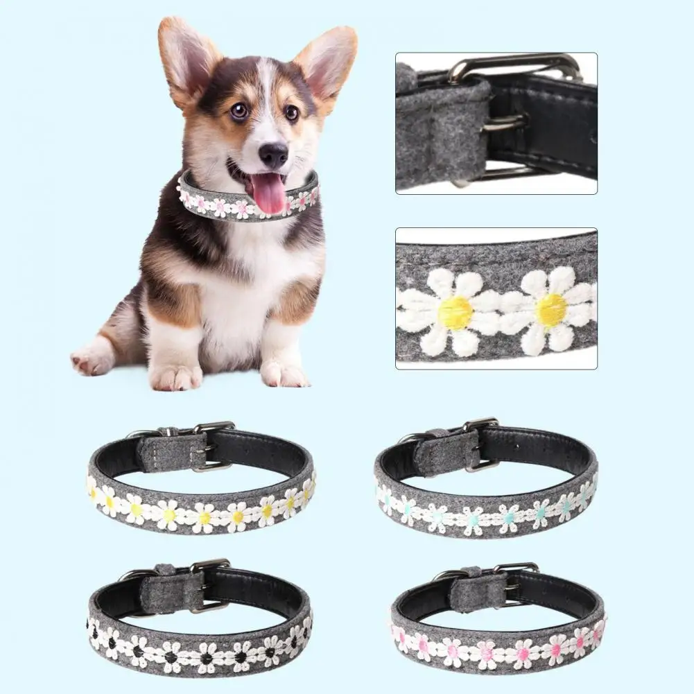 Puppy Collar Adjustable Cat Collar Puppy Kitten Necklace Collar Pet Supplies
Puppy Collar Adjustable Cat Collar Puppy Kitten Necklace Collar Pet Supplies