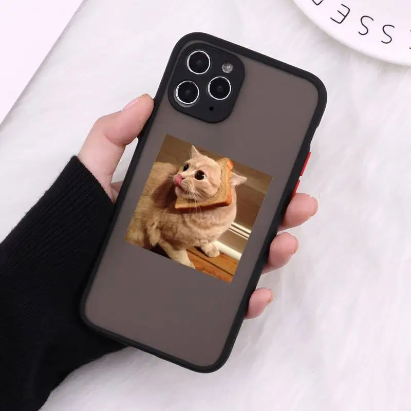 Cute cat funny love pet Phone Cases Matte Transparent for iPhone 7 8 11 12 s mini pro X XS XR MAX Plus cover funda
Cute cat funny love pet Phone Cases Matte Transparent for iPhone 7 8 11 12 s mini pro X XS XR MAX Plus cover funda