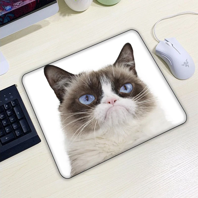 Full Gamer Pc Accessories Gaming Mouse Animal Cat Pad Mousepad Table Pads Deskmat Small Mousepepad Non-slip Mat Deskpad
Full Gamer Pc Accessories Gaming Mouse Animal Cat Pad Mousepad Table Pads Deskmat Small Mousepepad Non-slip Mat Deskpad