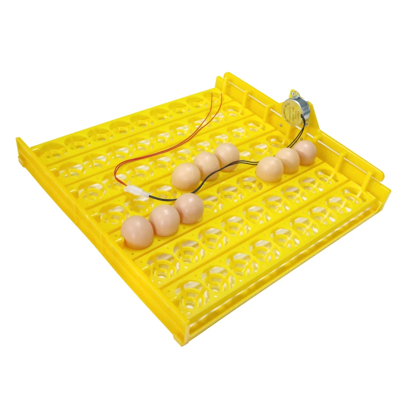 New 63 Eggs Incubator Turn Tray Poultry Incubation Equipment Chickens Ducks And Other Poultry Incubator Automatically Turn Eggs
New 63 Eggs Incubator Turn Tray Poultry Incubation Equipment Chickens Ducks And Other Poultry Incubator Automatically Turn Eggs