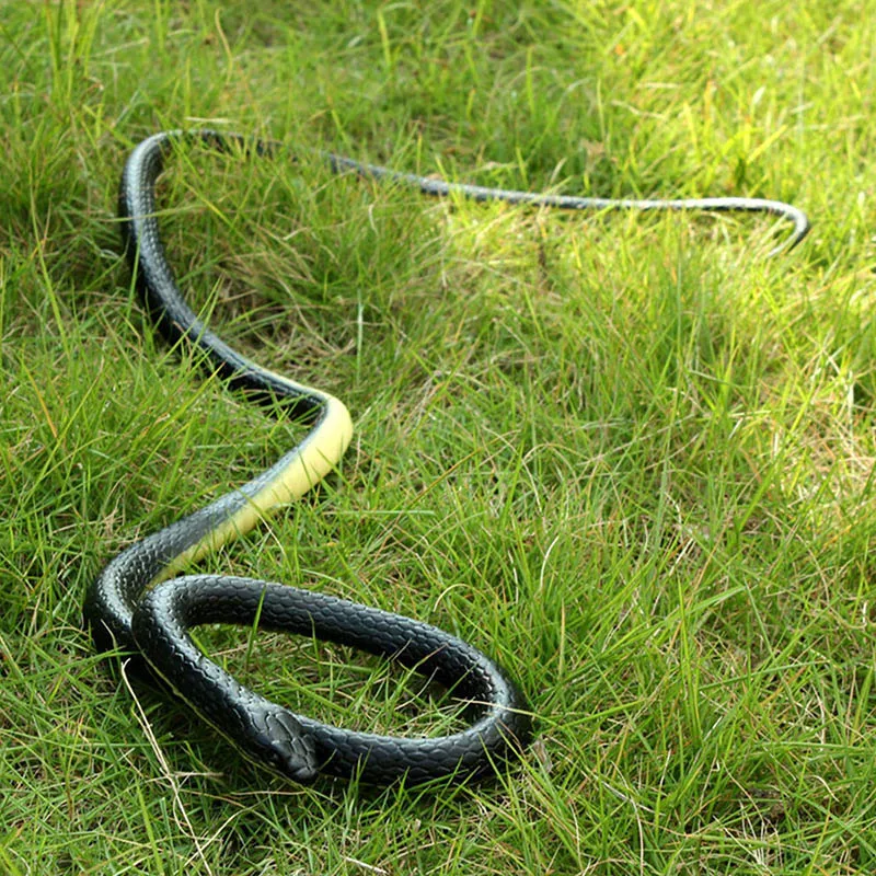 Simulation Snake Toy Realistic Rubber Snake Toy Tricky Creepy Prank Scary Snake Toy Wildlife Toys For Halloween Fools Day
Simulation Snake Toy Realistic Rubber Snake Toy Tricky Creepy Prank Scary Snake Toy Wildlife Toys For Halloween Fools Day