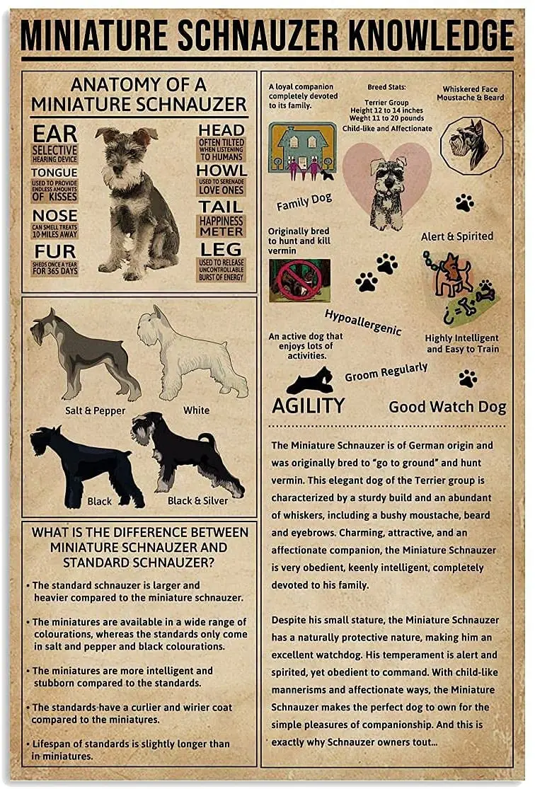Tin Signs for Miniature Schnauzer Knowledge Metal Sign, Vintage Wall Art, Home Decoration Sign Anniversary Birthday Vintage
Tin Signs for Miniature Schnauzer Knowledge Metal Sign, Vintage Wall Art, Home Decoration Sign Anniversary Birthday Vintage