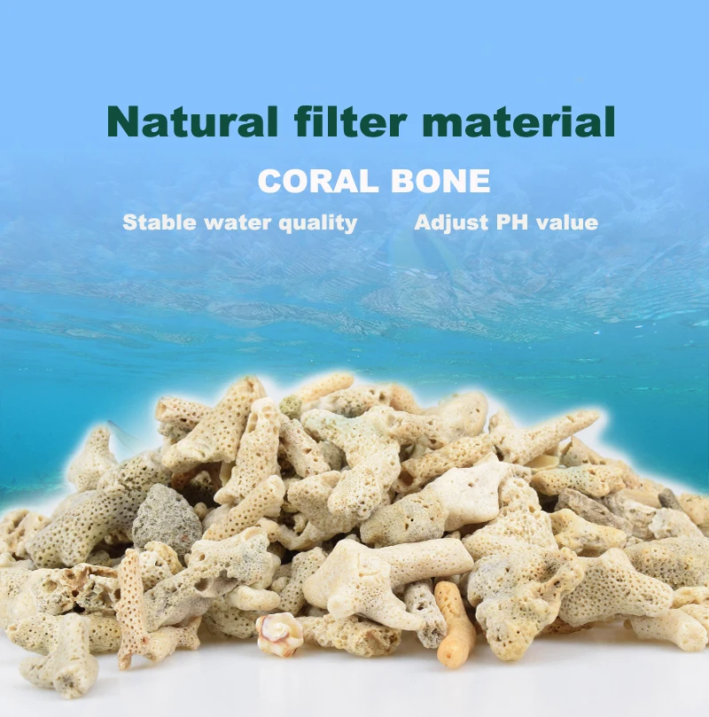100-200gfilter material fish tank water purification natural coral bone PH value sea water tank fresh water tank bacteria house
100-200gfilter material fish tank water purification natural coral bone PH value sea water tank fresh water tank bacteria house