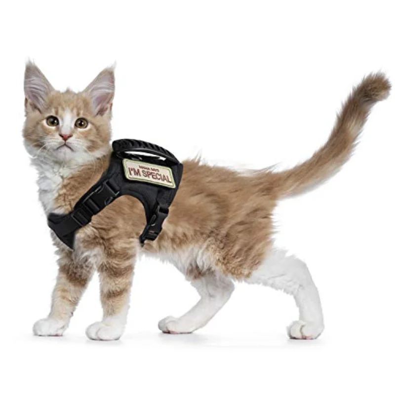 AmazingBuy Tactical Vest Cat Harness for Walking Escape Proof Buckle Tape Belt Pet Vest Harness for Large Cat Small Dog
AmazingBuy Tactical Vest Cat Harness for Walking Escape Proof Buckle Tape Belt Pet Vest Harness for Large Cat Small Dog