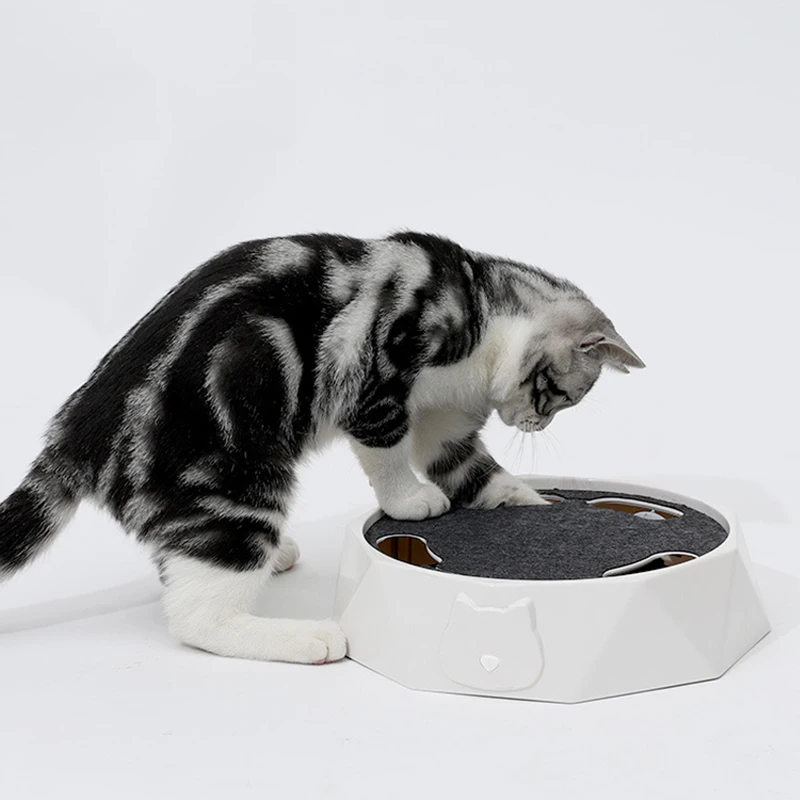 ПЭТ электрическая игрушка-кошка имитация Мышь двойной Скорость Регулируемый кошка вертушка интересные и прочный DFDS889 
ПЭТ электрическая игрушка-кошка имитация Мышь двойной Скорость Регулируемый кошка вертушка интересные и прочный DFDS889