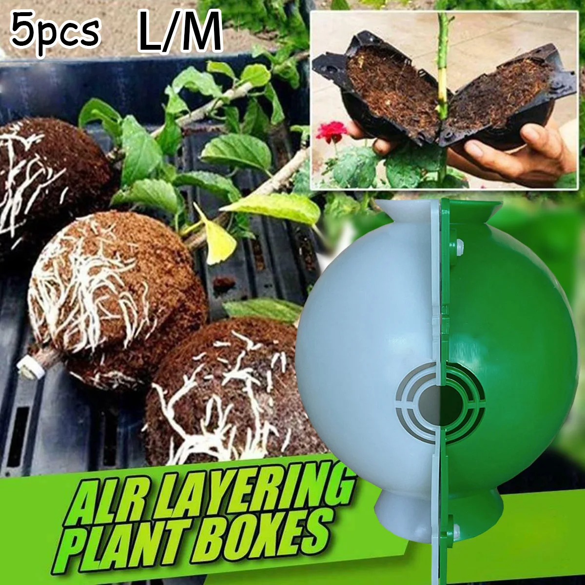 5X Plant High Pressure Breeding Ball Garden Grafting Rooting Box 8cm/12cm Plastic Green White Rooter Boxes Plants Seedlings
5X Plant High Pressure Breeding Ball Garden Grafting Rooting Box 8cm/12cm Plastic Green White Rooter Boxes Plants Seedlings