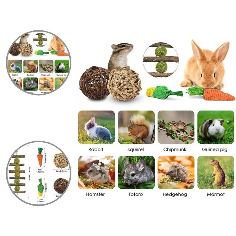 Natural 9Pcs/Set Safe Small Animal Play Chew Toys Mixed Hamster Chew Toys Scratch-resistant Pet Toys
Natural 9Pcs/Set Safe Small Animal Play Chew Toys Mixed Hamster Chew Toys Scratch-resistant Pet Toys