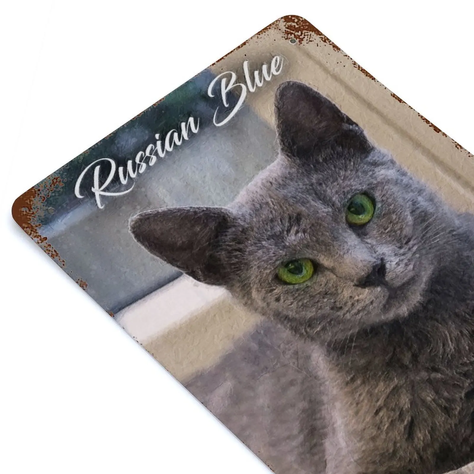 Russian Blue Cat Printed Retro Metal Poster Home Wall Decoration Tin Sign Plaque
Russian Blue Cat Printed Retro Metal Poster Home Wall Decoration Tin Sign Plaque