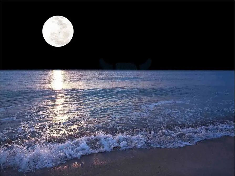 Полнолуние морской модные пляжные фотографий с изображением звездной ночи Искусство Шелковый постер декоративная стена картина 24x36inch
Полнолуние морской модные пляжные фотографий с изображением звездной ночи Искусство Шелковый постер декоративная стена картина 24x36inch