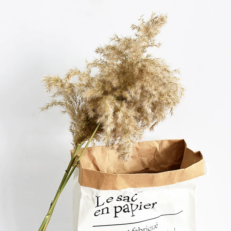 Dried Reed Branch Natural Plant DIY Home Wedding Scene Decoration Flower Arrangement Photo Props Supplies
Dried Reed Branch Natural Plant DIY Home Wedding Scene Decoration Flower Arrangement Photo Props Supplies
