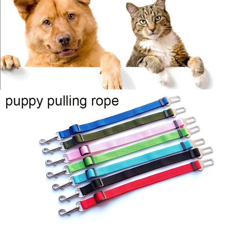 Pet Dog Cat Car Seat Belt Adjustable Harness Seatbelt Lead Leash for Small Medium Dogs Travel Clip Pet Supplies 7 Colors
Pet Dog Cat Car Seat Belt Adjustable Harness Seatbelt Lead Leash for Small Medium Dogs Travel Clip Pet Supplies 7 Colors