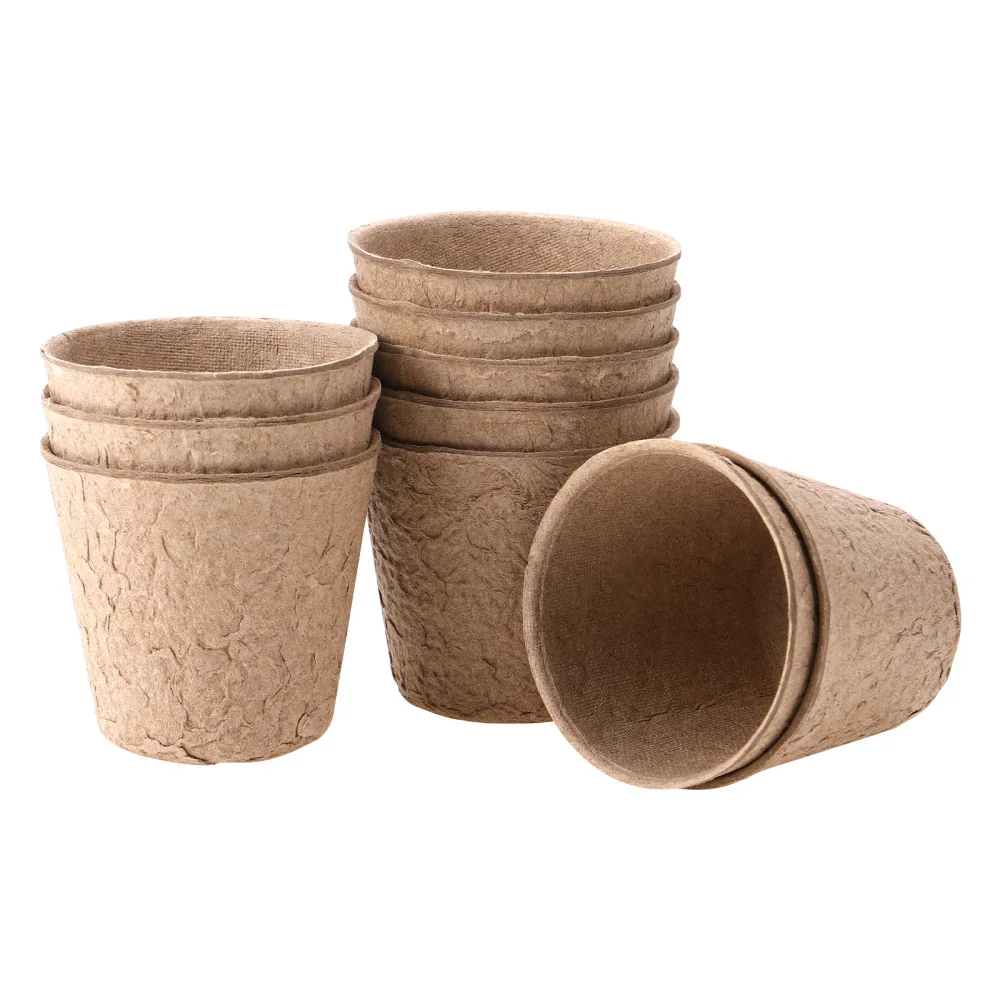 Toyvian 10 Pcs Peat Pots Biodegradable Indoor Planting Cups Herb Seed Starters Kit (6x6cm)
Toyvian 10 Pcs Peat Pots Biodegradable Indoor Planting Cups Herb Seed Starters Kit (6x6cm)