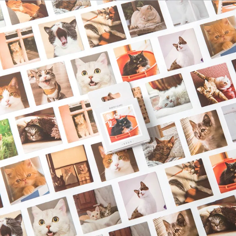20Pack Cat Mini box sticker Pet DIY Cartoon scrapbook decoration Decorative Paper Decals Funny Animals Decor wholesale 4 CM
20Pack Cat Mini box sticker Pet DIY Cartoon scrapbook decoration Decorative Paper Decals Funny Animals Decor wholesale 4 CM