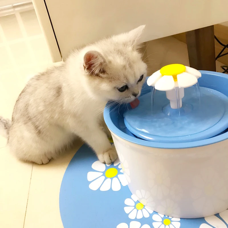 Умная чаша для кошек Fountain, автоматические поднятые медленные аксессуары, кошачий фонтан, контейнер для фильтров, щенок, кошек, товары для до...
Умная чаша для кошек Fountain, автоматические поднятые медленные аксессуары, кошачий фонтан, контейнер для фильтров, щенок, кошек, товары для до...