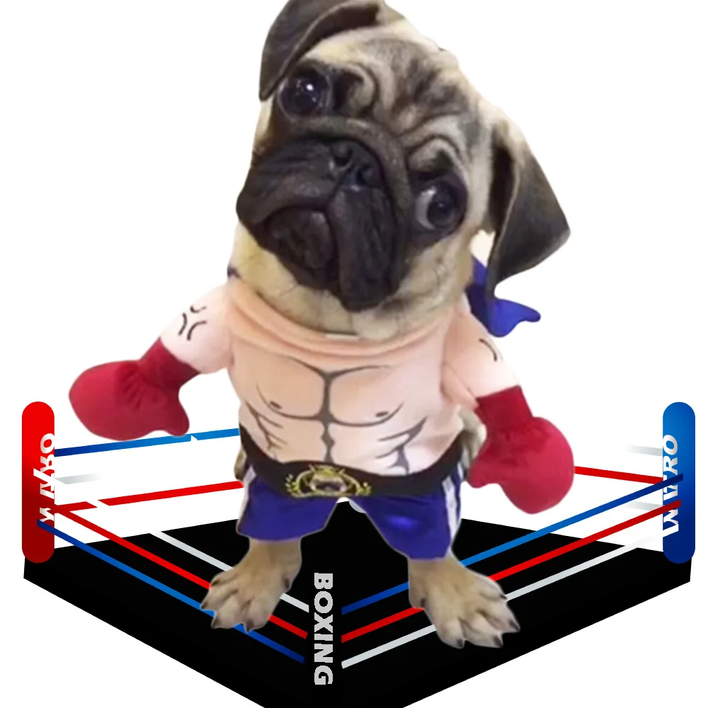 Boxer Costume Clothes for Dogs Pugilism Suit Funny Boxing Clothing Cat Apparel Halloween Outfit
Boxer Costume Clothes for Dogs Pugilism Suit Funny Boxing Clothing Cat Apparel Halloween Outfit