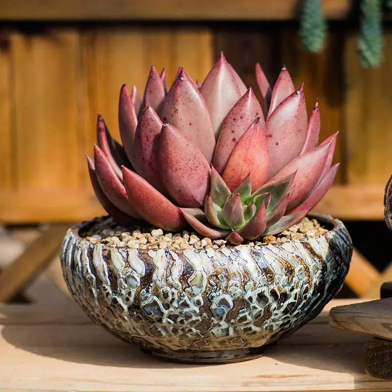 1pc/ 5pc Ceramics Flower Vase Large Burst Ceramic Flower Pot Stoneware Flow Glaze Succulents Flower Pot Breathable Ornaments
1pc/ 5pc Ceramics Flower Vase Large Burst Ceramic Flower Pot Stoneware Flow Glaze Succulents Flower Pot Breathable Ornaments