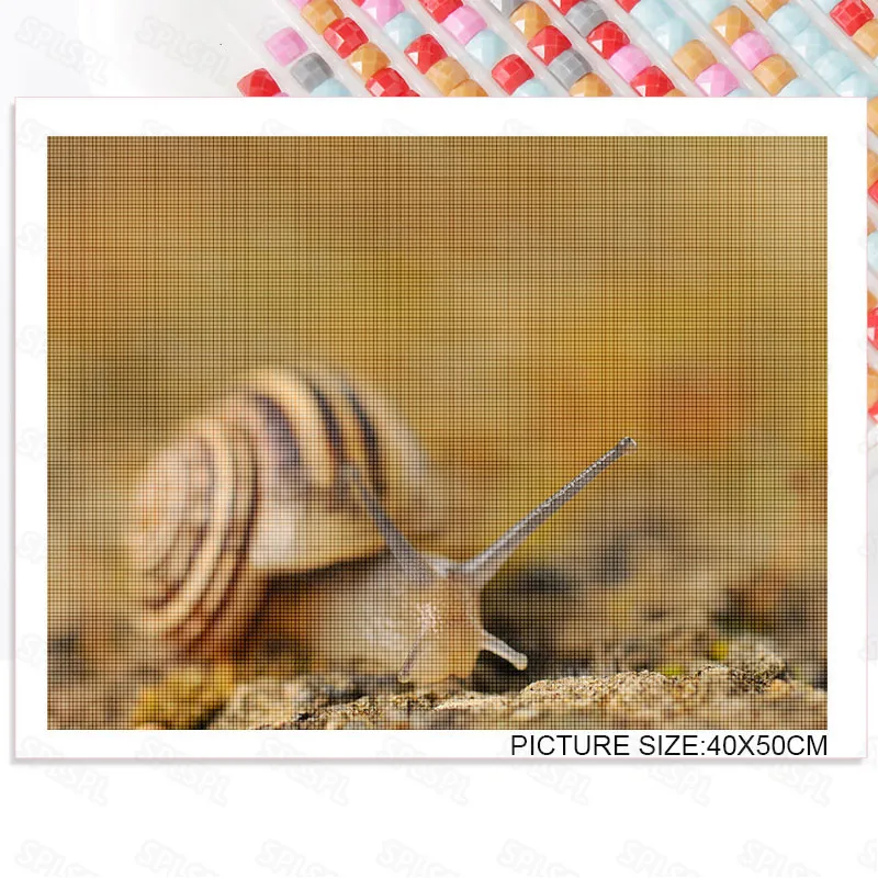 Diy Diamond Painting Mini Animals Snail Decorative Painting Study Room Painting Corridor Entrance Bedroom Wall Painting
Diy Diamond Painting Mini Animals Snail Decorative Painting Study Room Painting Corridor Entrance Bedroom Wall Painting