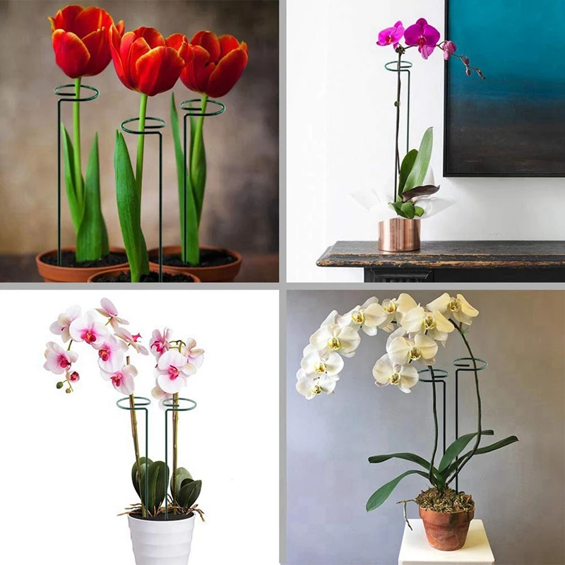 5X Garden Plant Support Stakes Single Stem Support Stake Plant Cage Support & 4X Garden Plants Kinks with Plastic Straps
5X Garden Plant Support Stakes Single Stem Support Stake Plant Cage Support & 4X Garden Plants Kinks with Plastic Straps