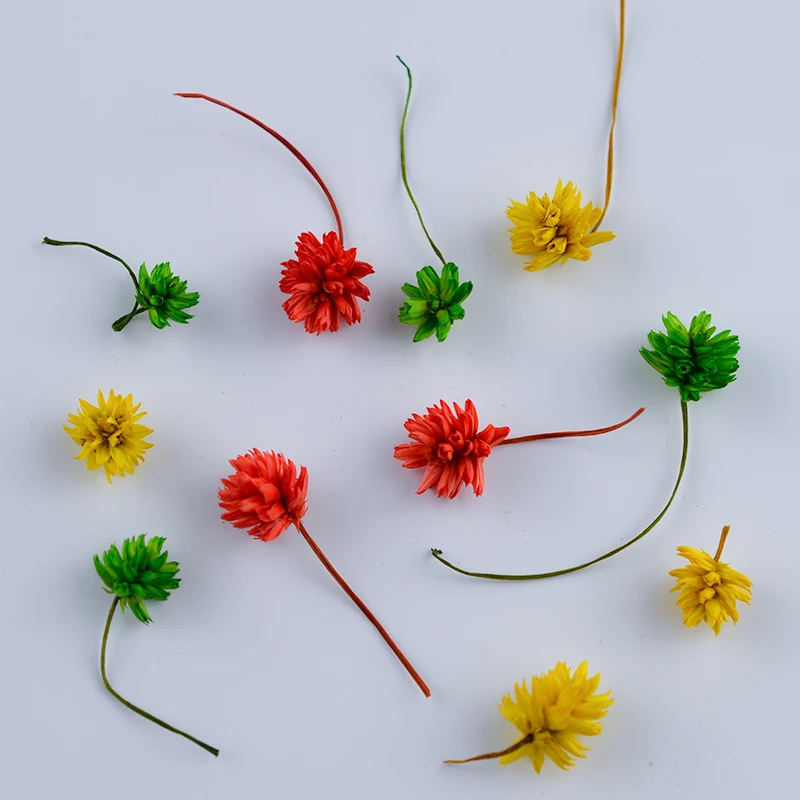 DF008 Natural Dried Flowers For Resin Home Decoration Epoxy UV Glue Jewelry Making Accessories
DF008 Natural Dried Flowers For Resin Home Decoration Epoxy UV Glue Jewelry Making Accessories