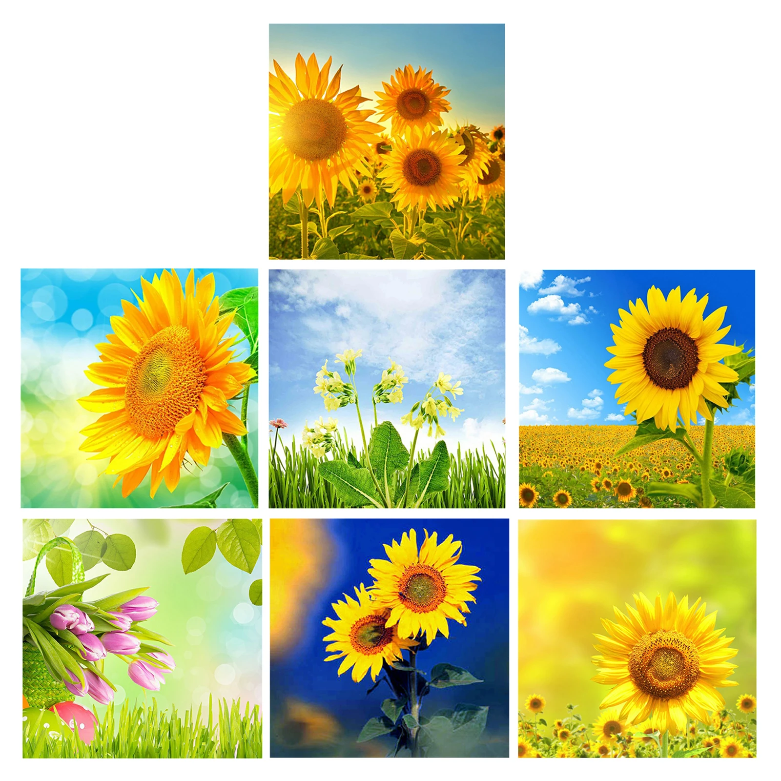 5D Diamond Painting Kits for Adults, DIY Cross Stitch Crystal Rhinestone Embroidery Pictures Art Kit, Arts Craft for Wall Decor
5D Diamond Painting Kits for Adults, DIY Cross Stitch Crystal Rhinestone Embroidery Pictures Art Kit, Arts Craft for Wall Decor