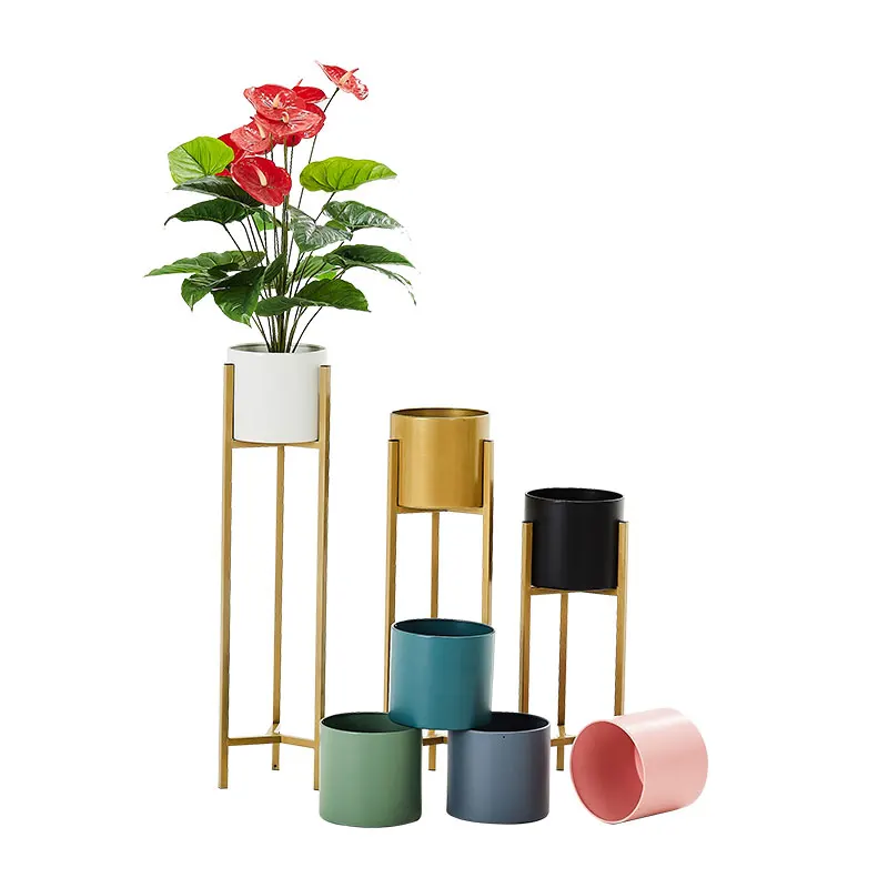 Plants stand Nordic balcony shelf plant green succulent iron art rack outdoor furniture simple floor light luxury Flower holders
Plants stand Nordic balcony shelf plant green succulent iron art rack outdoor furniture simple floor light luxury Flower holders