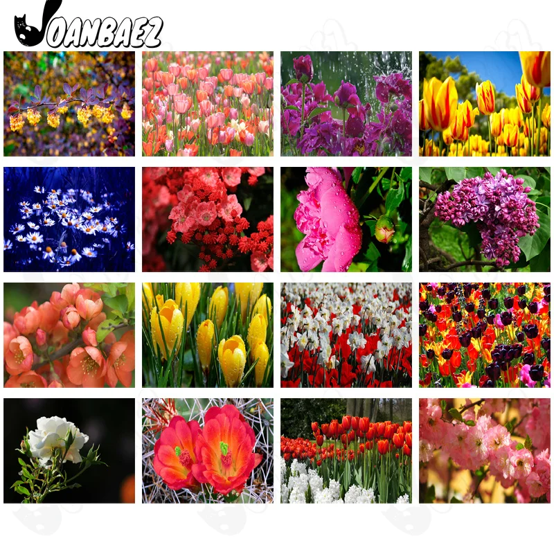 Diamond Painting Beautiful Garden 5D Diy Wall Art Peony Flower Sticker Diamond Embroidery Modern Room Decoration Gift
Diamond Painting Beautiful Garden 5D Diy Wall Art Peony Flower Sticker Diamond Embroidery Modern Room Decoration Gift