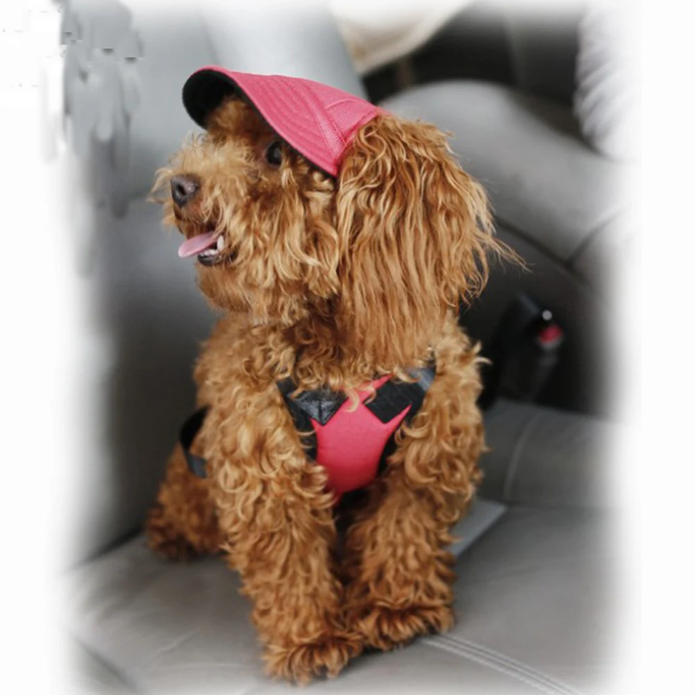 Summer Pet Dog Hat Cap Outdoor Dog Baseball Cap Canvas Small Dog Sunscreen Accessories
Summer Pet Dog Hat Cap Outdoor Dog Baseball Cap Canvas Small Dog Sunscreen Accessories