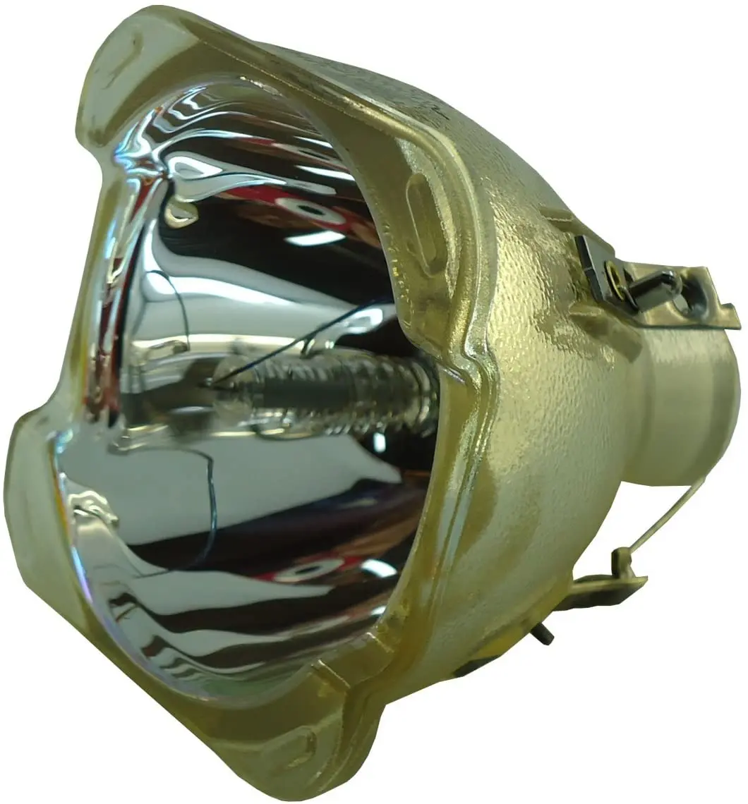 Compatible Bare Bulb SP.70B01GC01 BL-FU310D for Optoma EH490/EH502/W490/W502/X502/EH504 Projector Lamp Without Housing
Compatible Bare Bulb SP.70B01GC01 BL-FU310D for Optoma EH490/EH502/W490/W502/X502/EH504 Projector Lamp Without Housing