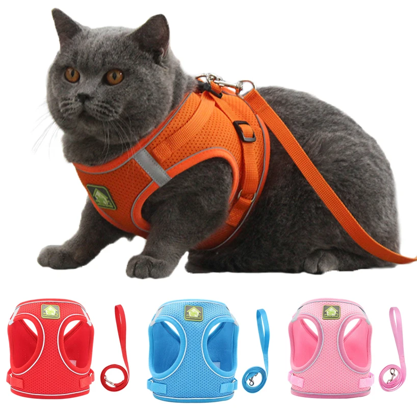 Reflective Puppy Cat Harness Vest With Walking Lead Leash Adjustable Kitten Collar Polyester Mesh Harness For Small Medium Dogs
Reflective Puppy Cat Harness Vest With Walking Lead Leash Adjustable Kitten Collar Polyester Mesh Harness For Small Medium Dogs