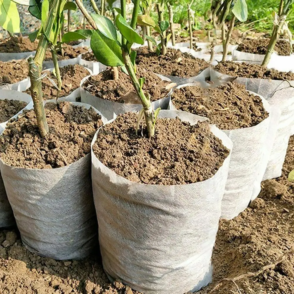 100Pcs -Degradable Plant Grow Bag Large Capacity Environment-friendly Corrosion Resistant Non-woven Fabric Nursery Bag
100Pcs -Degradable Plant Grow Bag Large Capacity Environment-friendly Corrosion Resistant Non-woven Fabric Nursery Bag