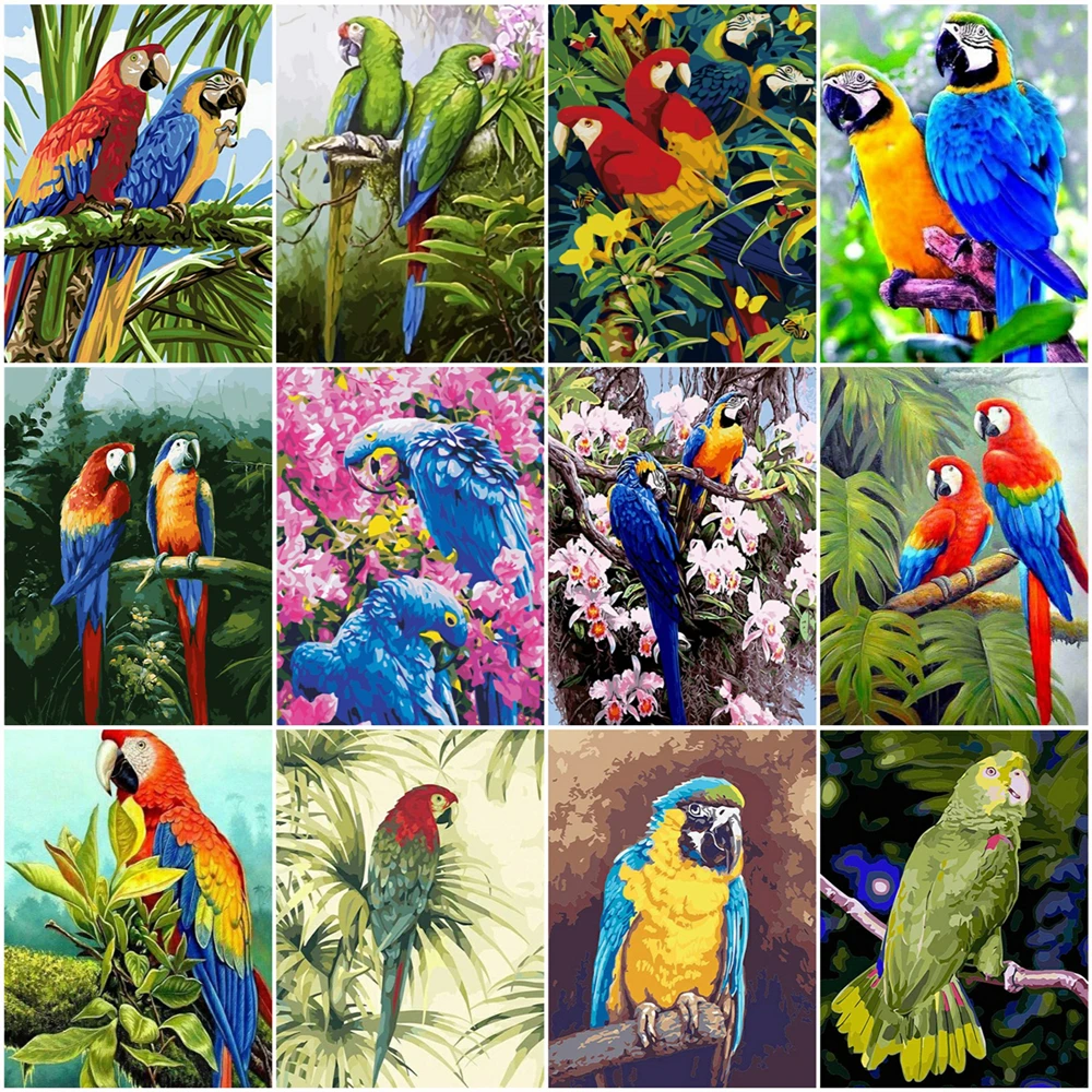 HUACAN Paint By Number Parrot Drawing On Canvas HandPainted Painting Art Gift DIY Pictures By Number Animal Kits Home Decor
HUACAN Paint By Number Parrot Drawing On Canvas HandPainted Painting Art Gift DIY Pictures By Number Animal Kits Home Decor
