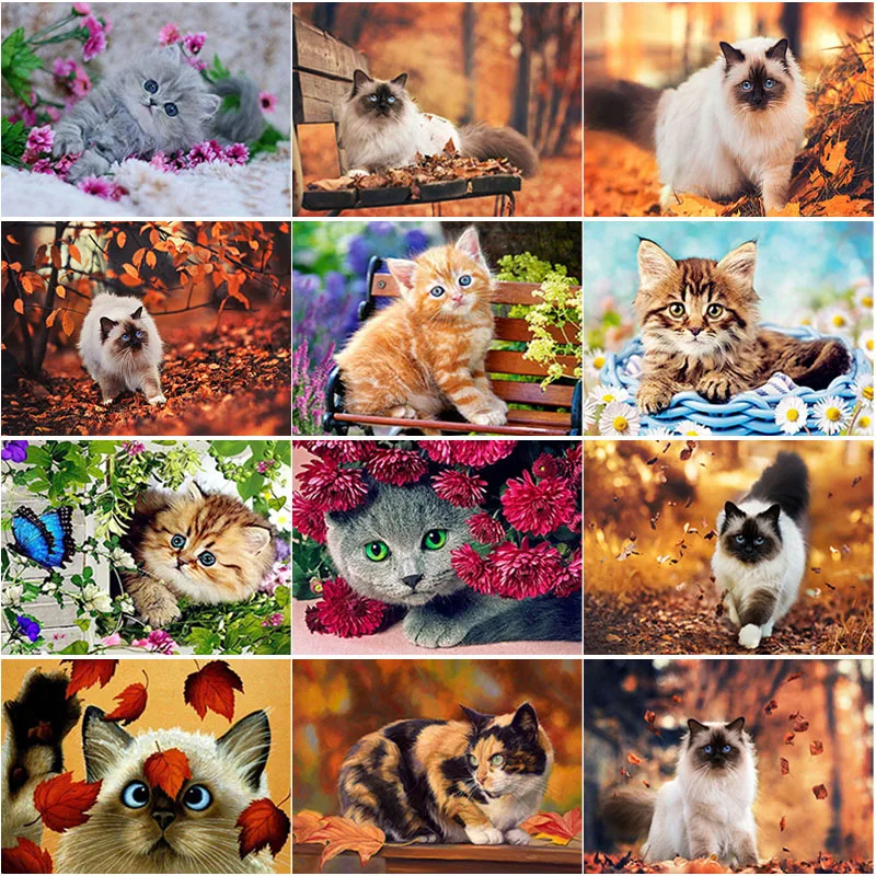 5D DIY Diamond Painting Cute Cat Diamond Embroidery Animal Cross Stitch Full Square Round Drill Manual Crafts Home Decor Gift
5D DIY Diamond Painting Cute Cat Diamond Embroidery Animal Cross Stitch Full Square Round Drill Manual Crafts Home Decor Gift