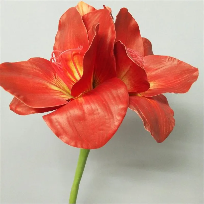 7Pcs Fake Single Stem Clivia 29.13" Length Simulation Real Touch Hippeastrum Rutilum for Wedding Home Artificial Flowers
7Pcs Fake Single Stem Clivia 29.13" Length Simulation Real Touch Hippeastrum Rutilum for Wedding Home Artificial Flowers