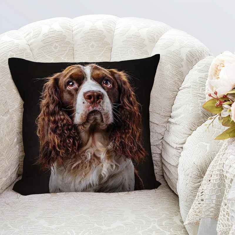Various sizes pillowcase simple style Sofa Bed Home Animal pattern Decorative Pillowcases
Various sizes pillowcase simple style Sofa Bed Home Animal pattern Decorative Pillowcases