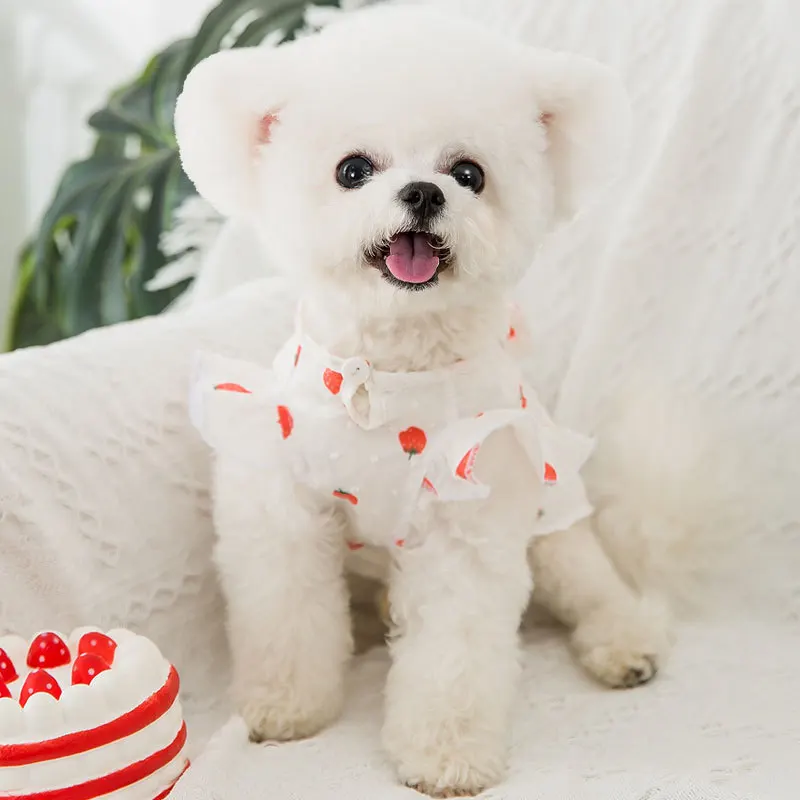 Pet Dog Cat Clothes Bow Tie Strawberry Skirt Spring Dog Dress Breathable for Small Dog Cats Pets Clothing Puppy Pug Chihuahua 
Pet Dog Cat Clothes Bow Tie Strawberry Skirt Spring Dog Dress Breathable for Small Dog Cats Pets Clothing Puppy Pug Chihuahua