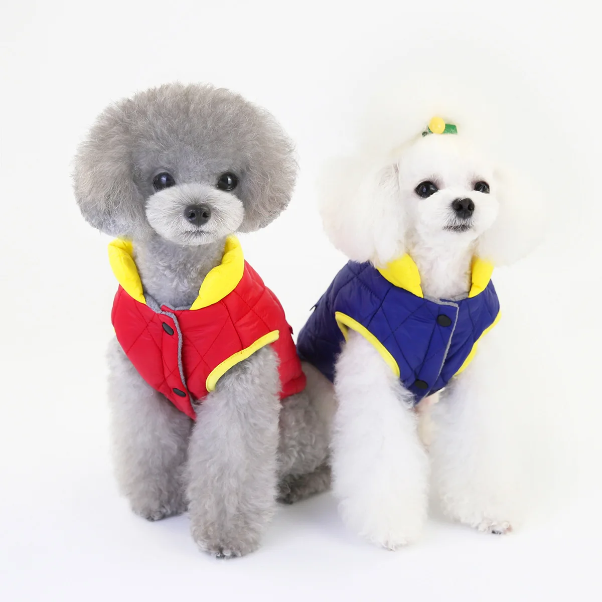 Dog Jackets Autumn Winter New Cotton Vest Pet Clothes Two-legged Cotton Coats Thick Warm Puppy Costume Chihuahua French Bulldog
Dog Jackets Autumn Winter New Cotton Vest Pet Clothes Two-legged Cotton Coats Thick Warm Puppy Costume Chihuahua French Bulldog