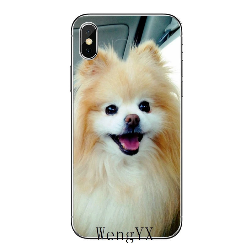 Pomeranian dogs Silicone Phone Case For Xiaomi Redmi S2 7 7A K20 6 6A 5A 4A 4X 5 Plus Note 8 4 Pro | Мобильные телефоны и