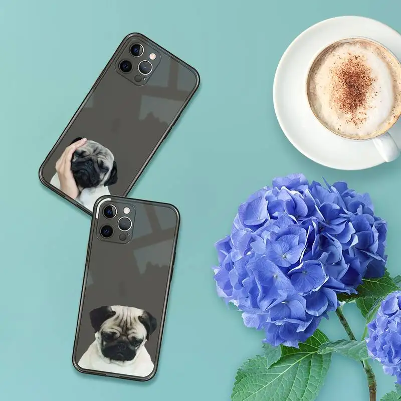 Pug Dog French Bulldog Phone Case For iPhone 12 11 8 7 se 2020 pro X XS XR MAX Plus Black Transparent Cover
Pug Dog French Bulldog Phone Case For iPhone 12 11 8 7 se 2020 pro X XS XR MAX Plus Black Transparent Cover