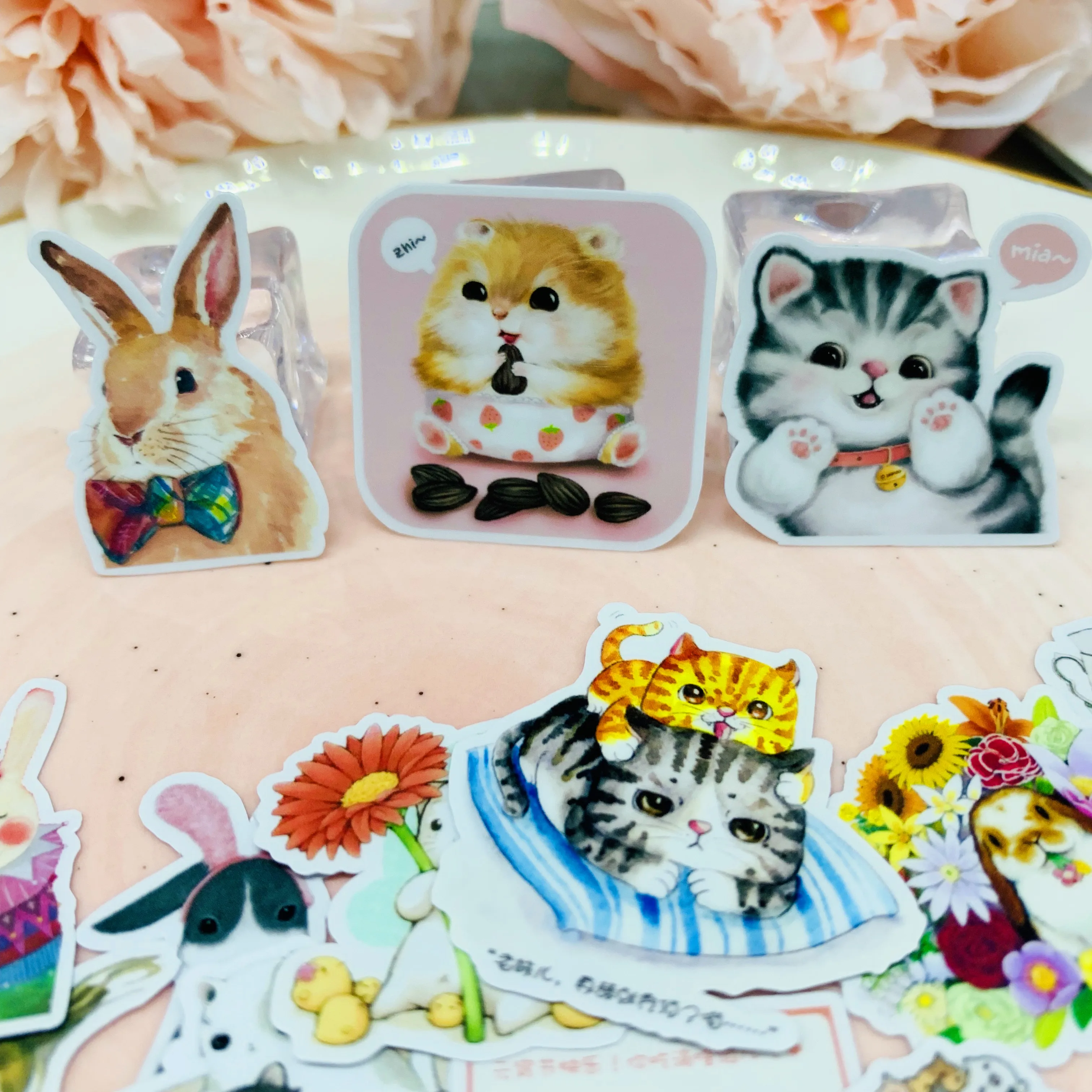 35PCS Cute cat squirrel and rabbit animal sticker for kids homemade book stickers on laptop / decorative scrapbooking / DIY
35PCS Cute cat squirrel and rabbit animal sticker for kids homemade book stickers on laptop / decorative scrapbooking / DIY