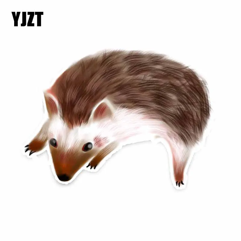 YJZT 11.5CM*15.8CM Interesting Personality Animal Hedgehog PVC Car Sticker Decals C29-0184 | Stickers
