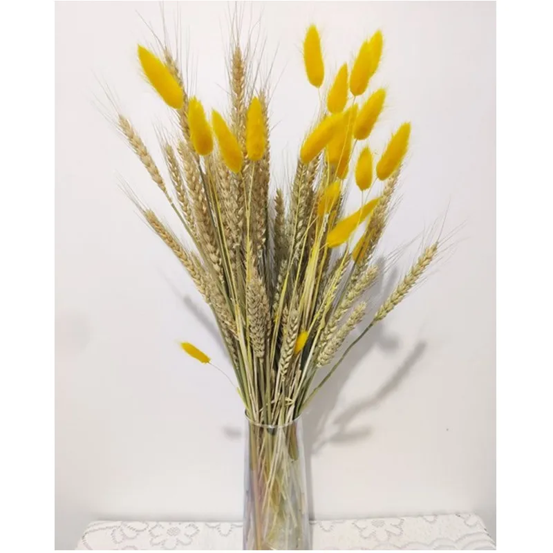 2021 искусственные растения для украшения дома, свадебное украшение, 15 шт. сушеных цветов травы, маленькие тростники, пшеничные уши
2021 искусственные растения для украшения дома, свадебное украшение, 15 шт. сушеных цветов травы, маленькие тростники, пшеничные уши