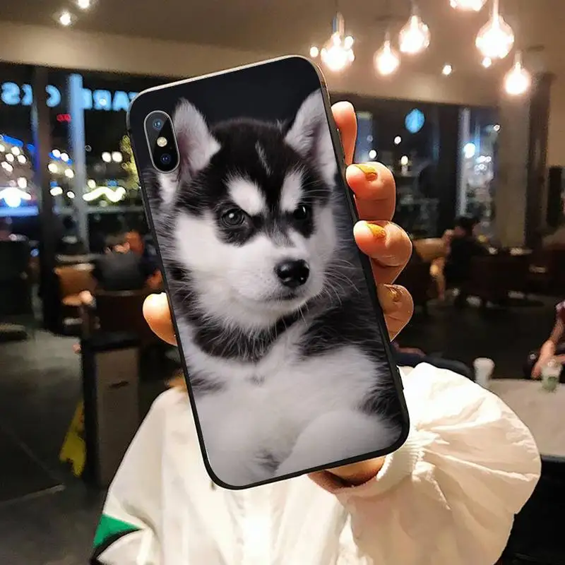 Husky funny animal mobile Phone Case for iPhone 11 12 pro XS MAX 8 7 6 6S Plus X 5S SE 2020 XR
Husky funny animal mobile Phone Case for iPhone 11 12 pro XS MAX 8 7 6 6S Plus X 5S SE 2020 XR