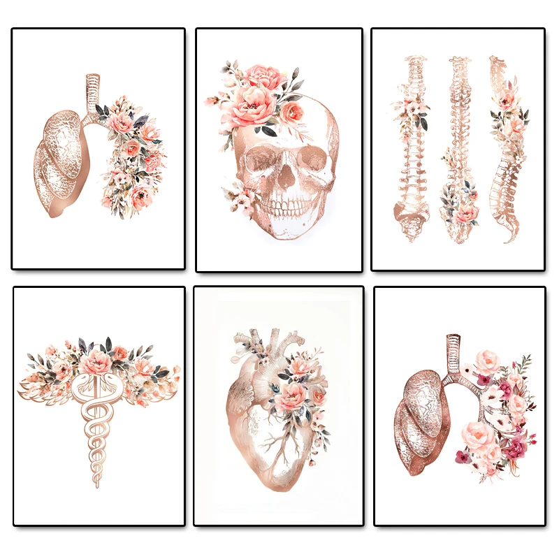 Flower Anatomy Skull Heart Organ Skeleton Nordic Posters and Prints Wall Art Canvas Painting Medicine Pictures Doctor Room Decor
Flower Anatomy Skull Heart Organ Skeleton Nordic Posters and Prints Wall Art Canvas Painting Medicine Pictures Doctor Room Decor
