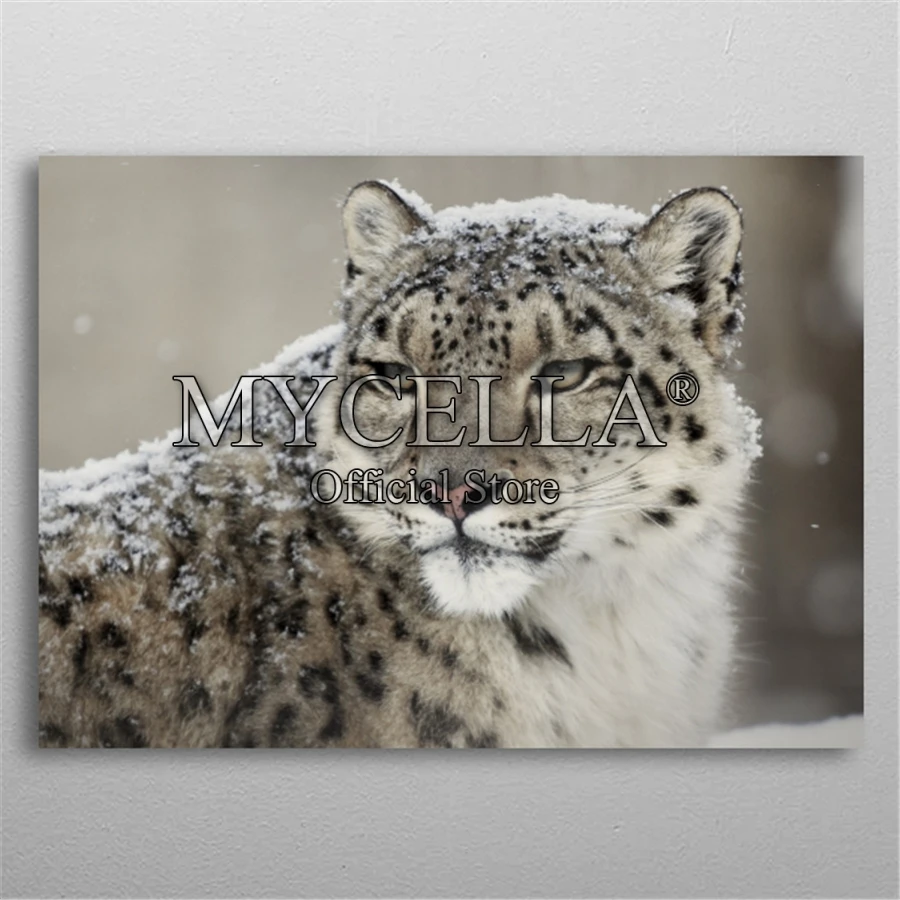 5D DIY Diamond Painting Full Square Diamond Embroidery Animal Snow Leopard Diamond Mosaic Cross Stitch Home Decor Crafts Supplie
5D DIY Diamond Painting Full Square Diamond Embroidery Animal Snow Leopard Diamond Mosaic Cross Stitch Home Decor Crafts Supplie