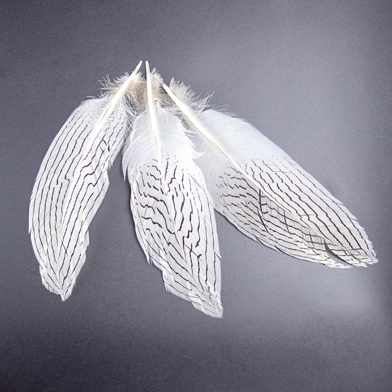 10pcs Natural Pheasant Feather High Quality Feather for DIY Crafts Stage Dream Catchers Performance Party Decoration Plumes
10pcs Natural Pheasant Feather High Quality Feather for DIY Crafts Stage Dream Catchers Performance Party Decoration Plumes